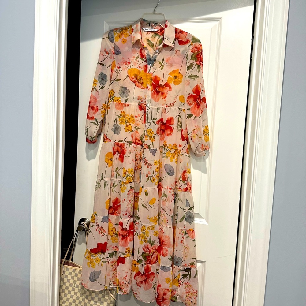 Zara sheer flowers dress. Size small